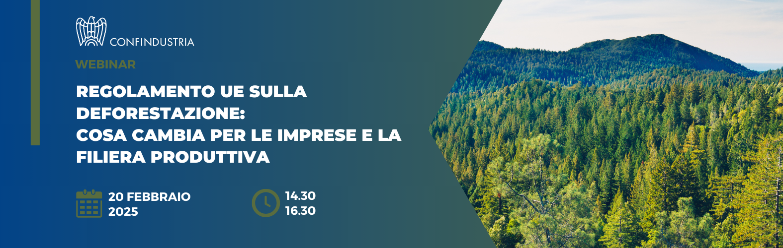 Webinar “Regolamento UE sulla deforestazione (EUDR): cosa cambia per le imprese e la filiera produttiva”