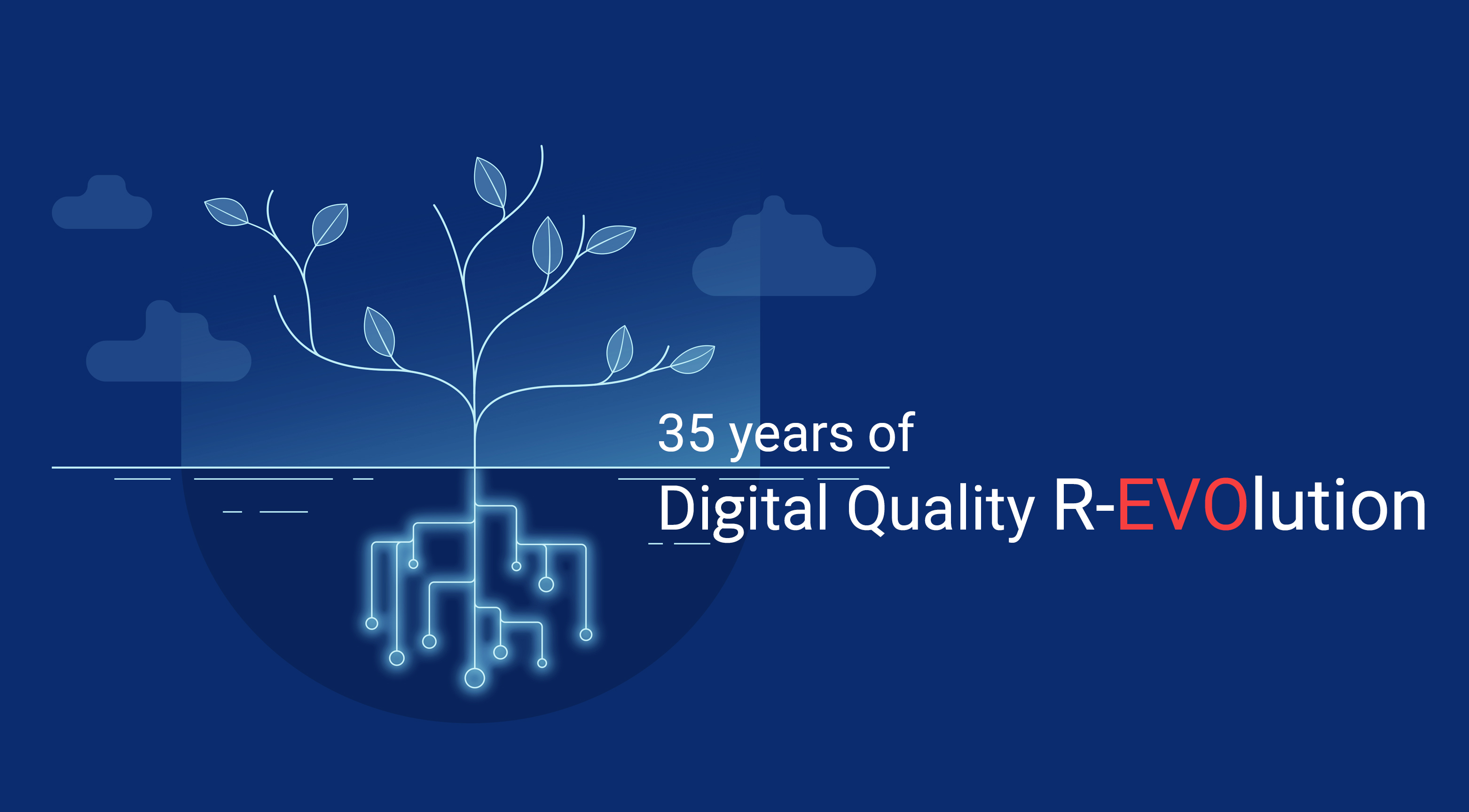 Blulink celebra i suoi primi 35 anni e pone le basi per il futuro della Qualità