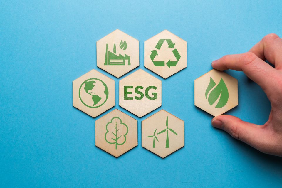 Sostenibilità: programma per la promozione presso le imprese dei criteri ESG
