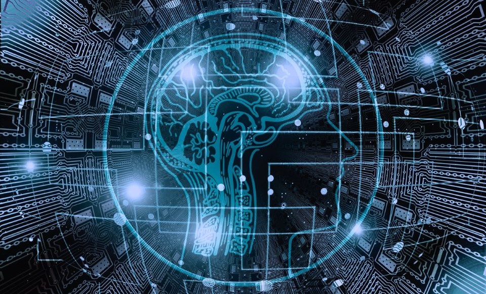 Talent Factory and Microcredentials - webinar gratuito organizzato da CIS - 11 giugno 2026 ore 14:30