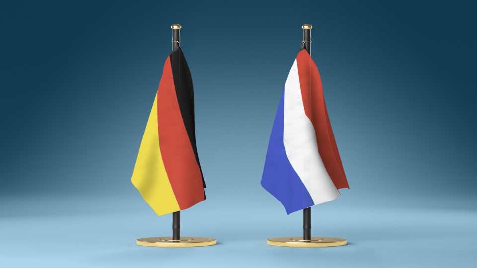 Francia e Germania - incontri individuali gratuiti con gli avv.ti Gaslini e Plecher