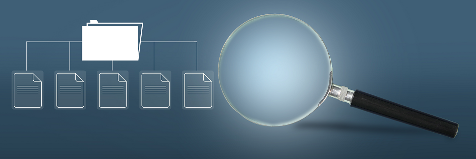 Whistleblowing: approvate le Linee Guida sui canali interni di segnalazione