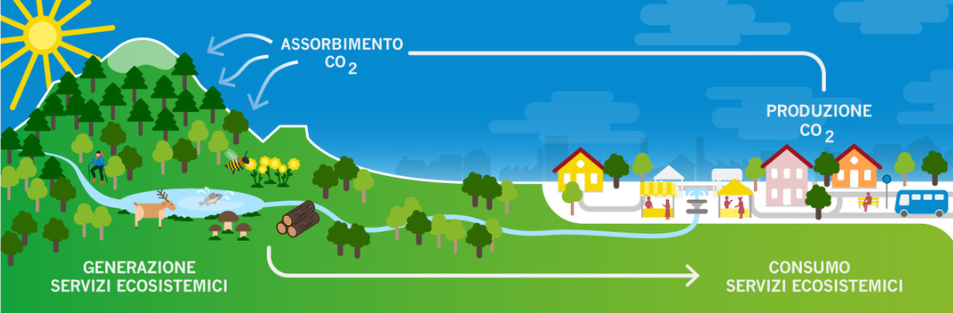 Carbon Footprint di Organizzazione ISO 14064