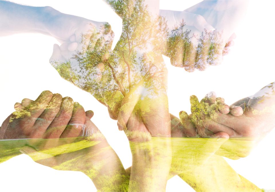 Energia rinnovabile: opportunità con CER Unindustria Reggio Emilia S.C.