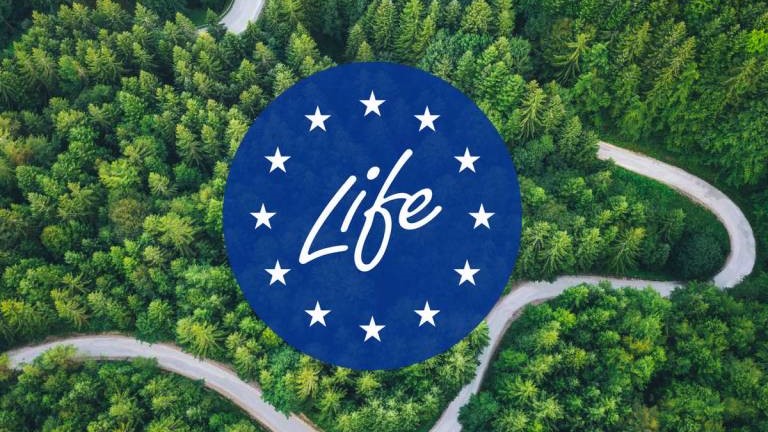 Webinar  Confindustria 