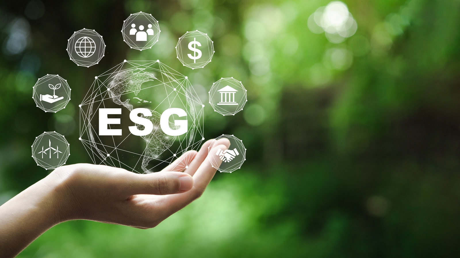 Progetto ESG 2024: bando CCIAA per la valutazione del posizionamento dell’impresa rispetto alla sostenibilità ambientale, sociale e di governance