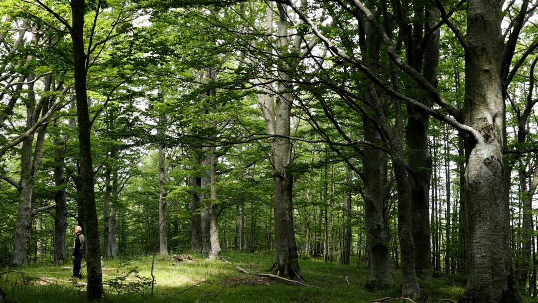 Emak acquista i Crediti di Sostenibilità del Parco Nazionale dell’Appennino tosco-emiliano